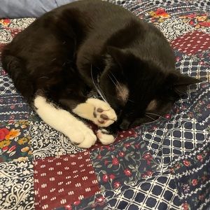 Meet your Posher, Charlie